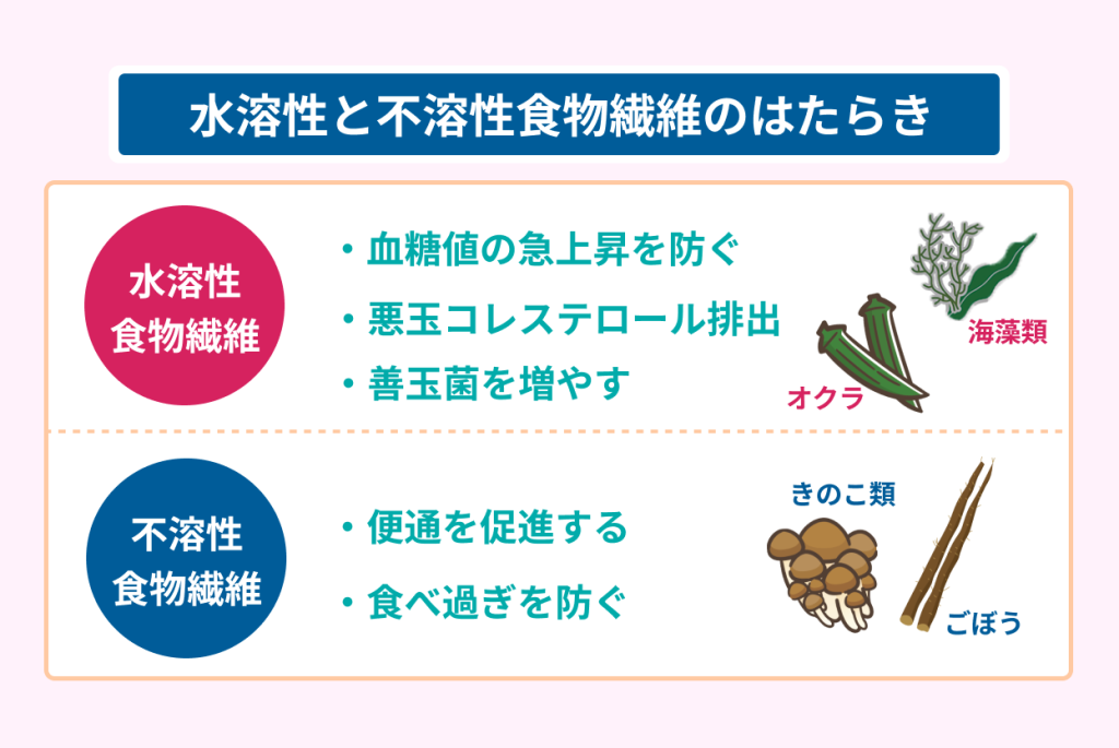 水溶性と不溶性食物繊維のはたらき